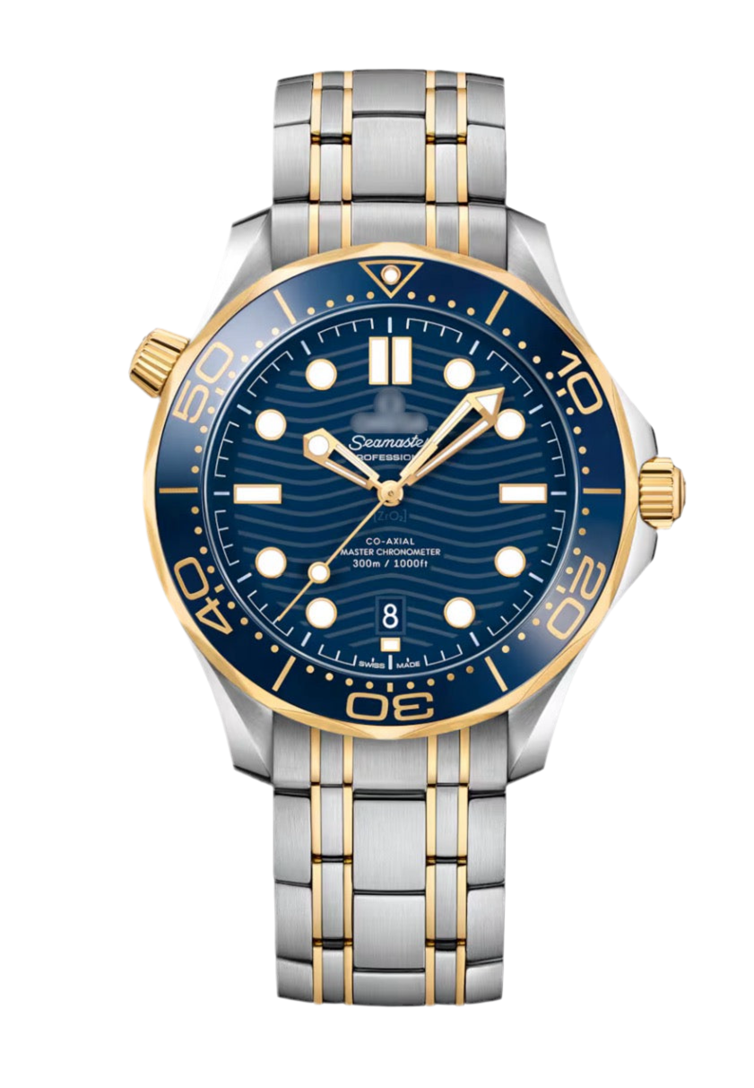 Montre Seamaster - Professional
